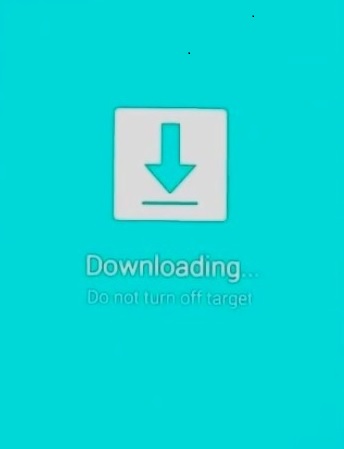 Samsung Download Mode for odin flasher